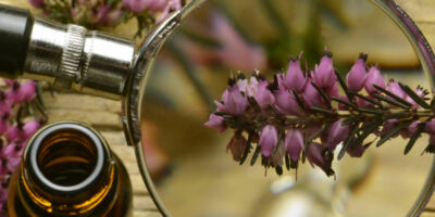 Erica Heath Heidekruter Lyng Wrzosiec flower